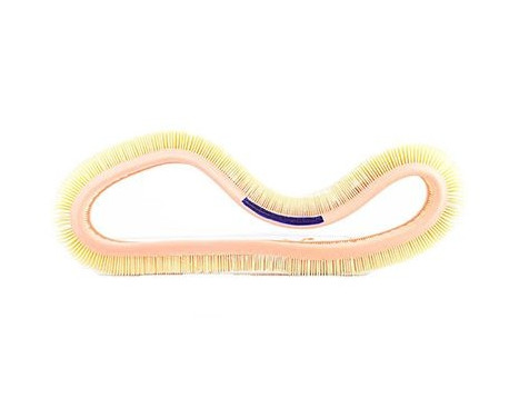 Luftfilter BSG 60-135-006, bild 2