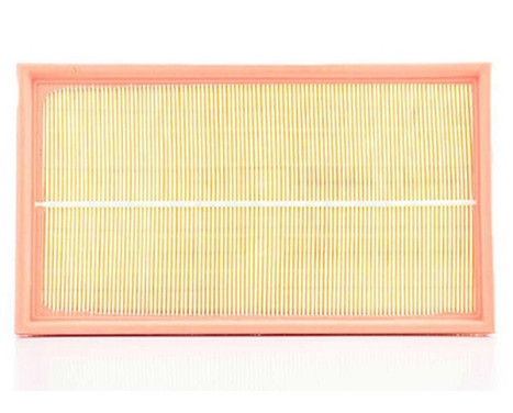 Luftfilter BSG 60-135-009