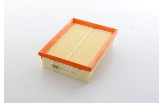 Luftfilter BSG 65-135-023