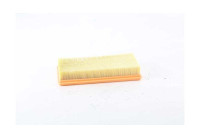 Luftfilter BSG 75-135-010