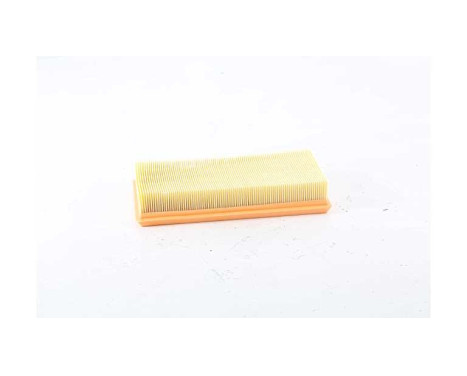 Luftfilter BSG 75-135-010