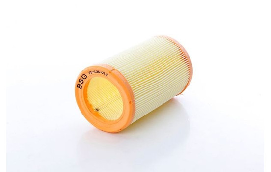 Luftfilter BSG 75-135-013