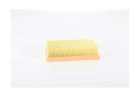 Luftfilter BSG 75-135-022