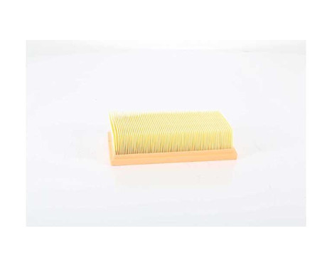 Luftfilter BSG 75-135-022