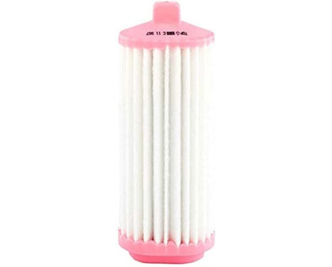 Luftfilter C 11 007 Mann