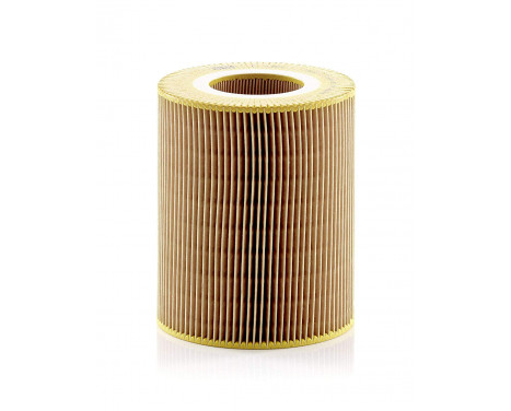 Luftfilter C 1381 Mann