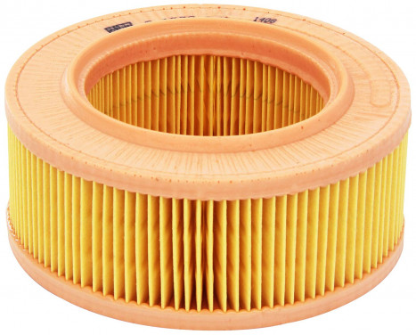 Luftfilter C 1530 Mann