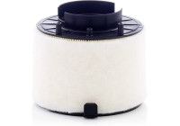 Luftfilter C 17 009 MANN-FILTER