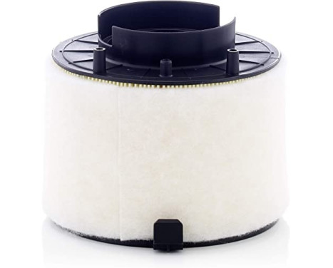 Luftfilter C 17 009 Mann