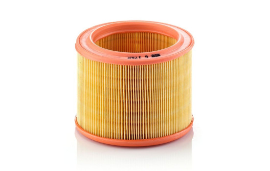 Luftfilter C 1760 MANN-FILTER, bild 2