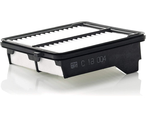 Luftfilter C 18 004 Mann