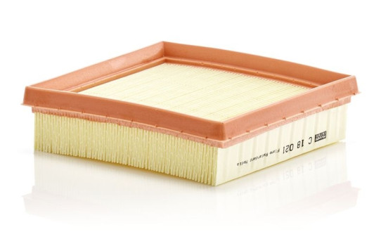 Luftfilter C 18 021 Mann