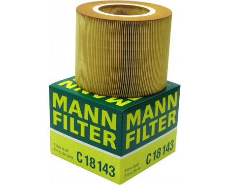 Luftfilter C 18 143 Mann