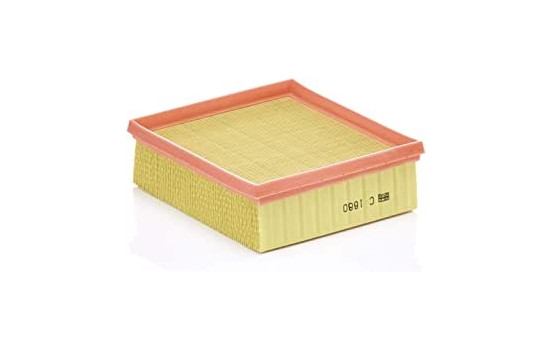 Luftfilter C 1880 Mann