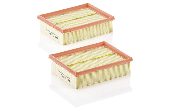 Luftfilter C 1955-2 MANN-FILTER
