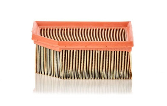 Luftfilter C 1995 MANN-FILTER, bild 2