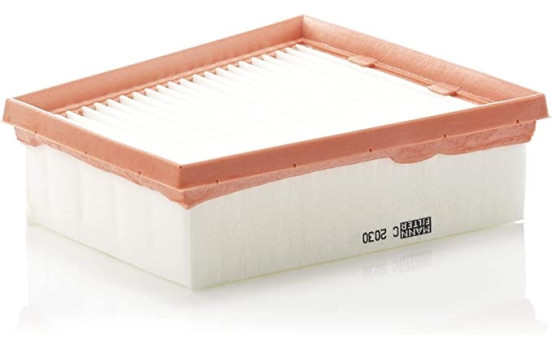 Luftfilter C 2030 Mann