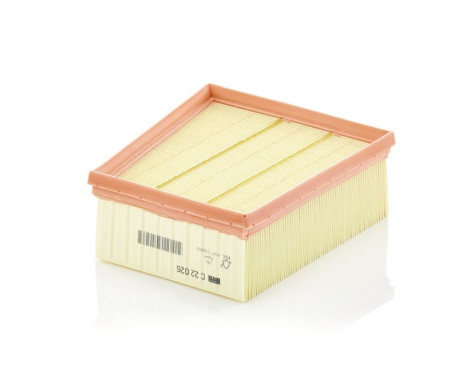 Luftfilter C 22 026 Mann, bild 2