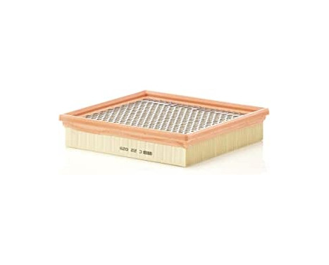 Luftfilter C 22 029 Mann