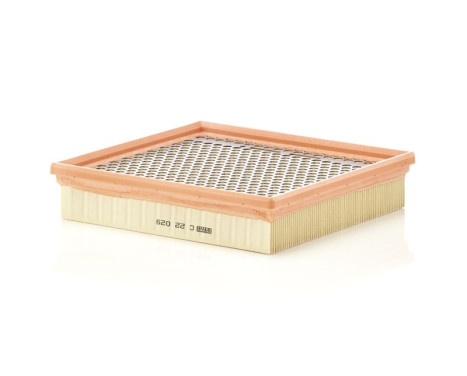 Luftfilter C 22 029 Mann, bild 2