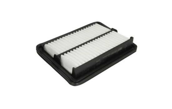 Luftfilter C 22 060 Mann