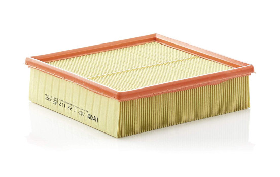 Luftfilter C 22 117 Mann
