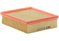 Luftfilter C 22 120 Mann