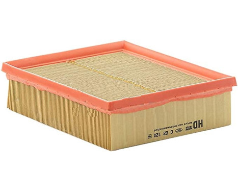 Luftfilter C 22 120 Mann