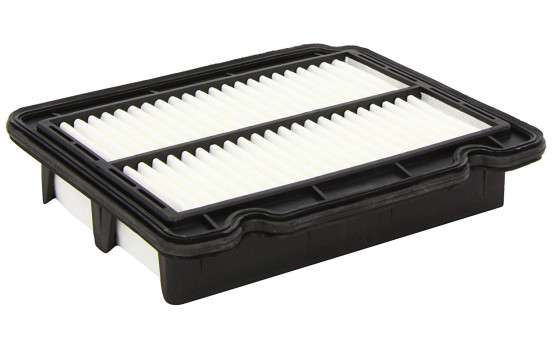 Luftfilter C 2324 MANN-FILTER