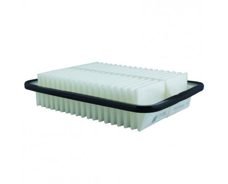 Luftfilter C 24 005 Mann