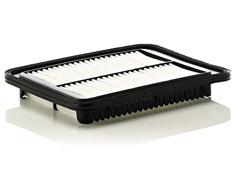 Luftfilter C 24 010 Mann