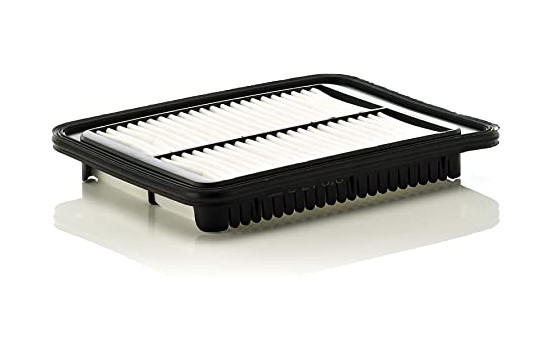 Luftfilter C 24 010 Mann