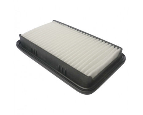 Luftfilter C 24 019 Mann