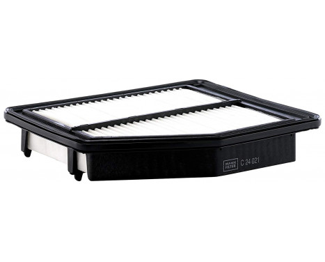 Luftfilter C 24 021 Mann