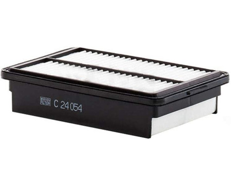 Luftfilter C 24 054 Mann