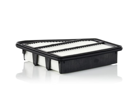 Luftfilter C 24 075 Mann