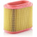 Luftfilter C 24 196 MANN-FILTER