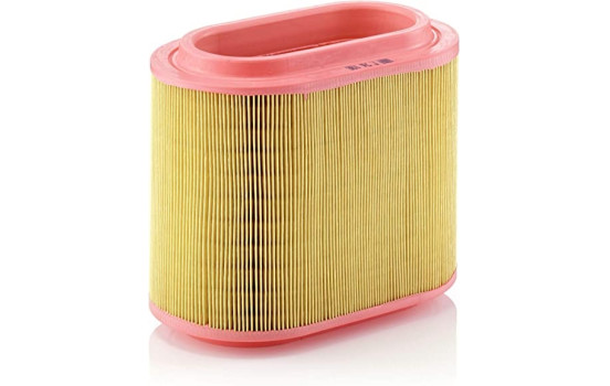 Luftfilter C 24 196 MANN-FILTER