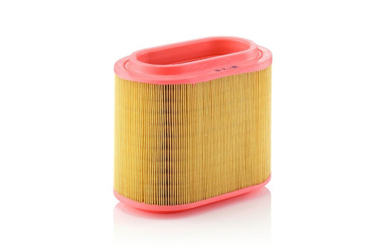 Luftfilter C 24 196 MANN-FILTER, bild 2