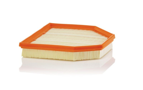 Luftfilter C 24 242 Mann