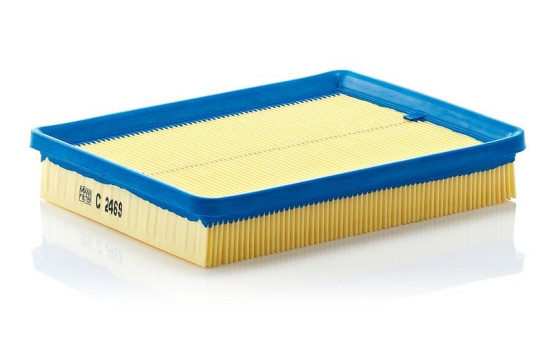 Luftfilter C 2469 MANN-FILTER, bild 2