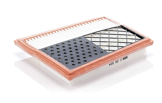 Luftfilter C 25 004 Mann