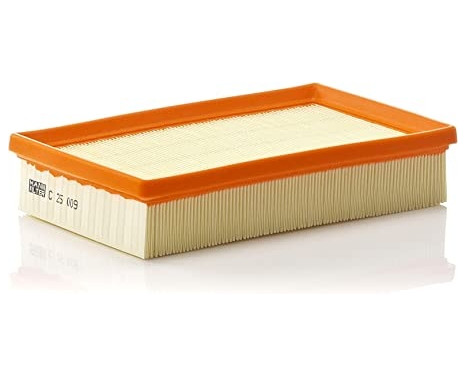 Luftfilter C 25 009 Mann