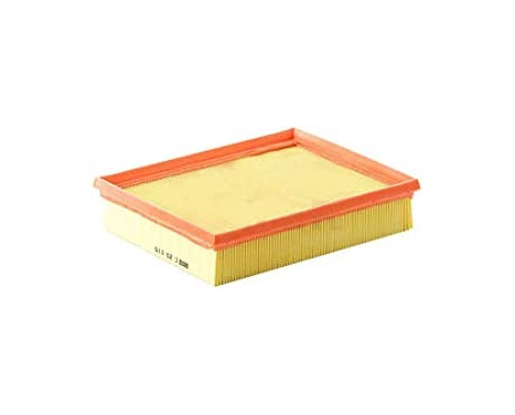 Luftfilter C 25 015 Mann