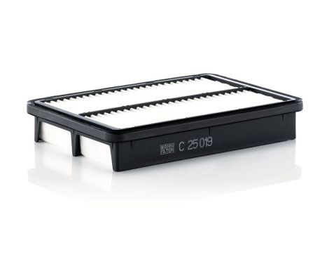 Luftfilter C 25 019 Mann, bild 2