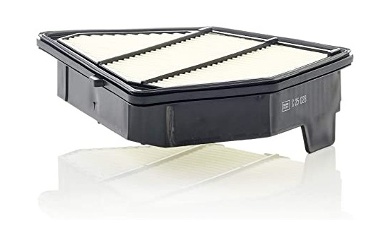 Luftfilter C 25 028 Mann
