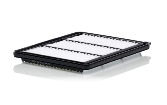 Luftfilter C 25 051 Mann