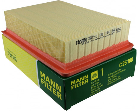 Luftfilter C 25 100 Mann