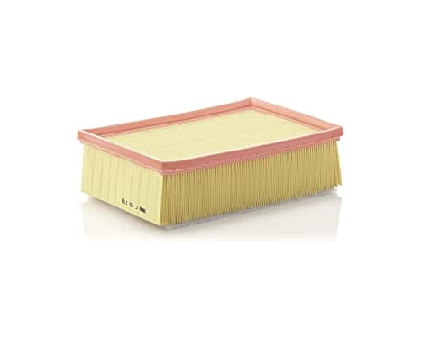 Luftfilter C 25 136 Mann