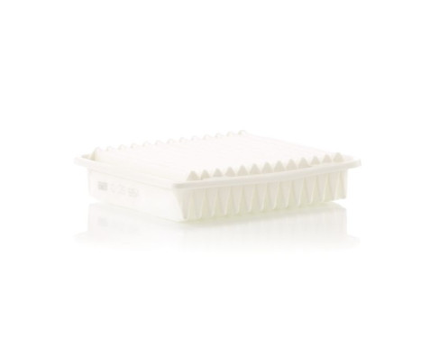 Luftfilter C 25 654 Mann, bild 2